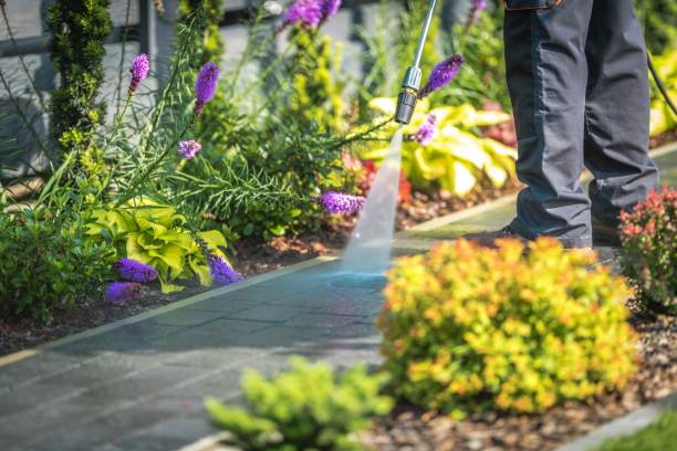 Best Winterizing Services  in Auburn Lake Trails, CA